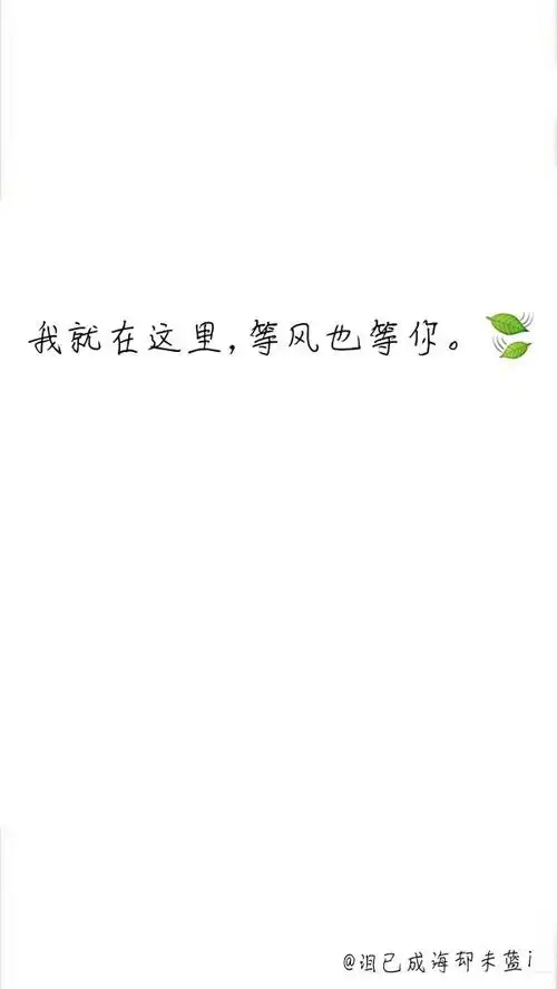 我就在这里等风也等你.