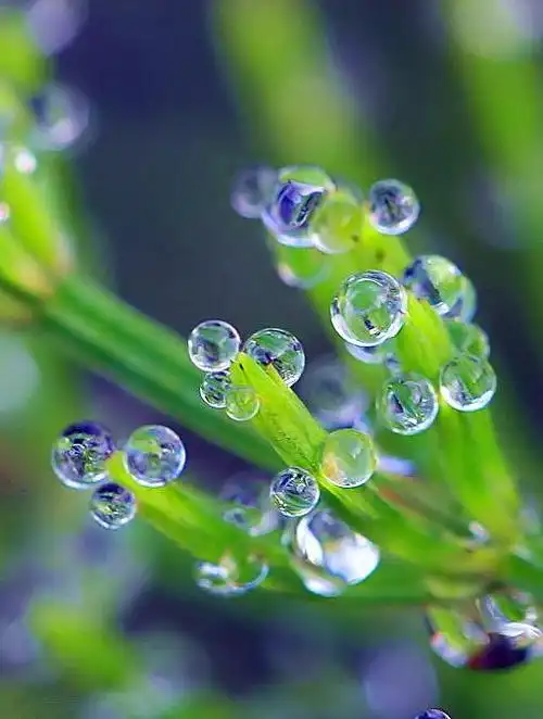 511_677竖版 竖屏