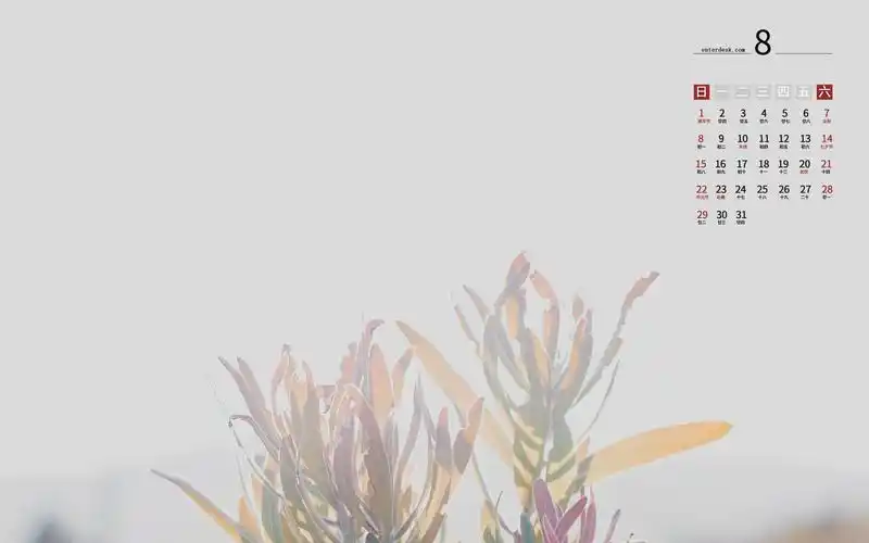2021年8月小清新唯美风光日历,月历壁纸-回车桌面
