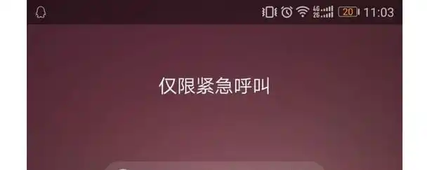 仅限紧急呼叫介绍