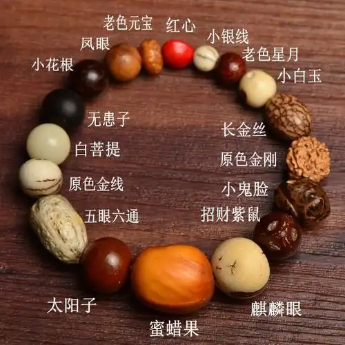 菩提子的种类全解图多少钱