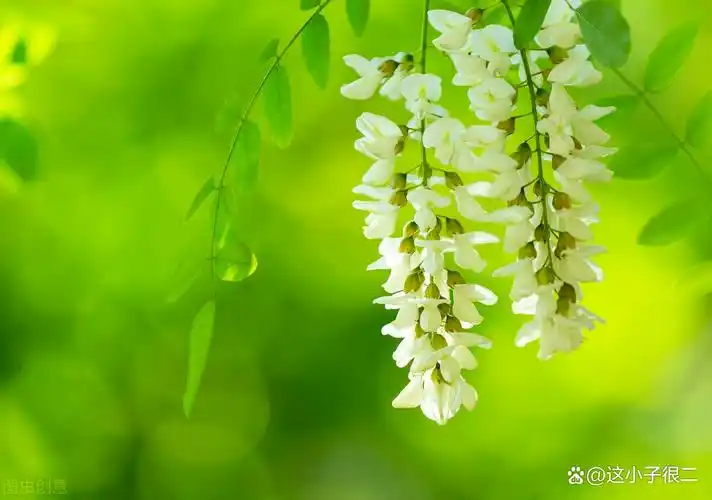 忘不了的童年和刻在骨子里的情怀