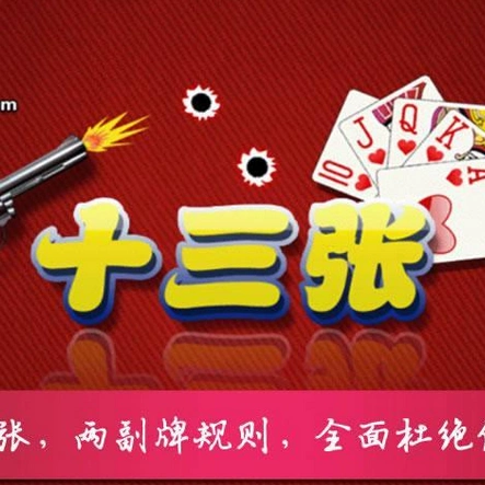 福建十三张软件定制