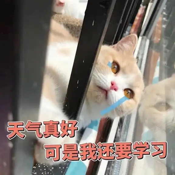 像不像读书的时候的我们,一脸的望眼欲穿啊,哈哈