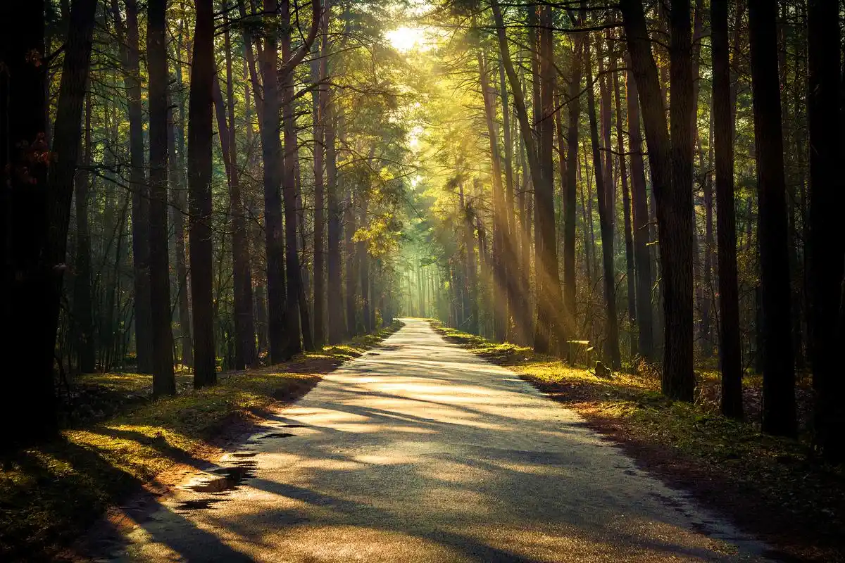 autocad2024详细安装教程cad2007下载免费中文