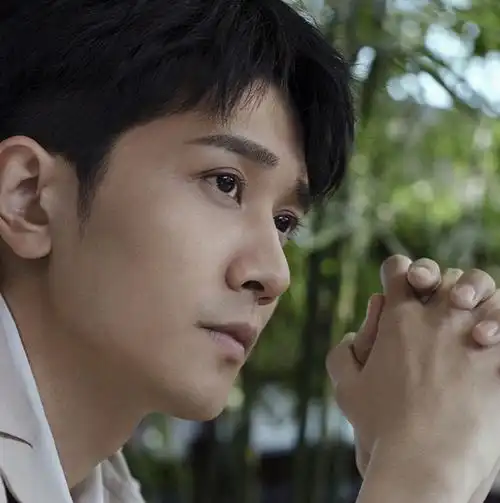 聊聊彭冠英优缺点 他的戏路