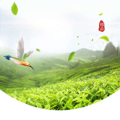 绿色自然茶园茶叶psd分层主图背景素材