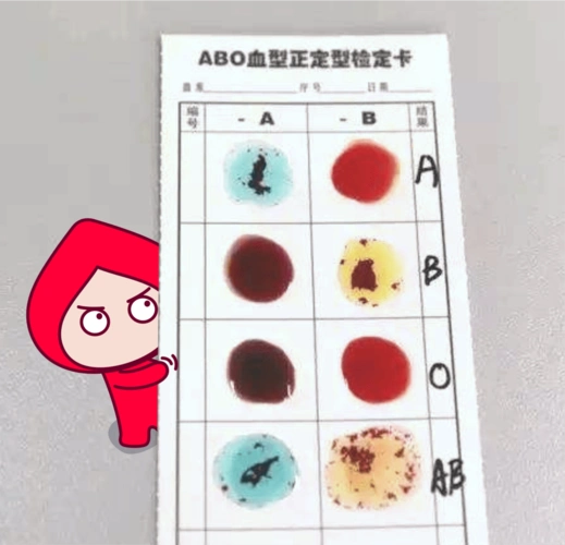 通过献血前一般检查后,还需对献血前进行血液初筛检测,项目有:血型,血