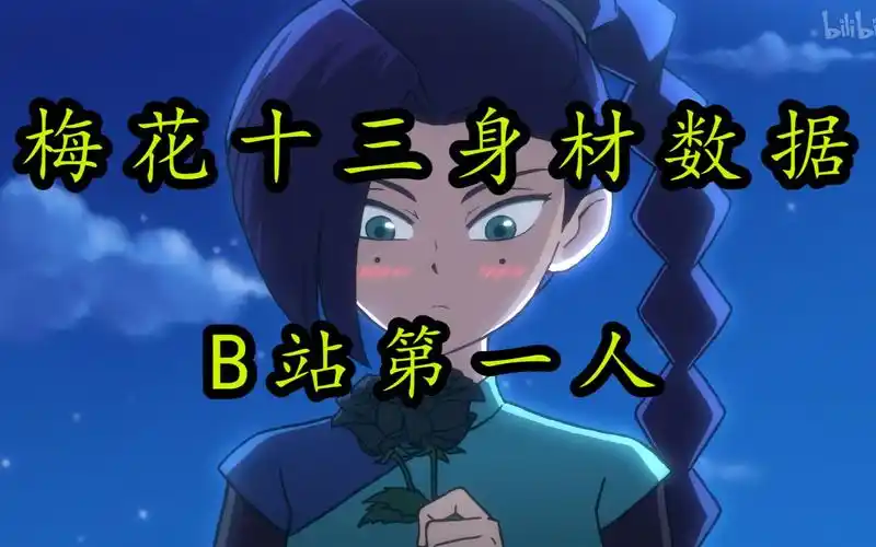 梅花十三身材数据【刺客伍六七】b站第一人