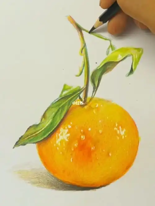 彩铅橘子绘画过程