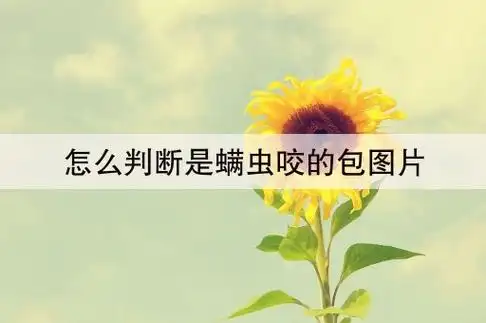 怎么判断是螨虫咬的包图片