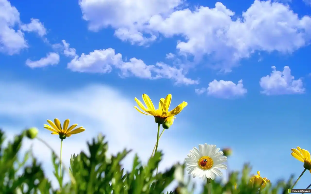 极简唯美设计高清电脑桌面主题壁纸图片下载八