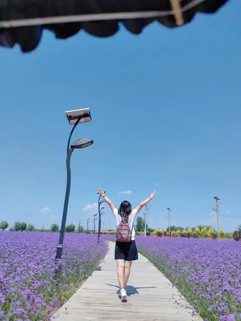 当一个人熬过了所有苦往后余生就会心如止水.