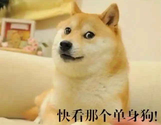 单身狗的福音?日本政府用ai帮找对象,不看年龄和收入