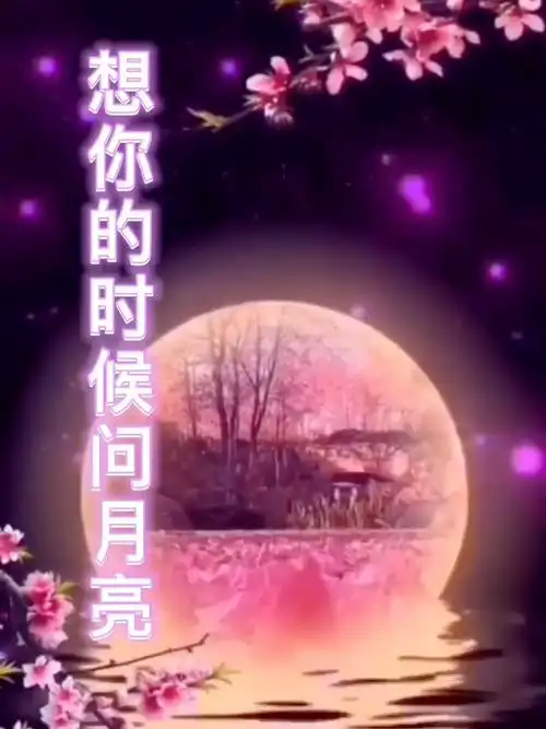 葫芦丝独奏 演奏:秀《想你的时候问月亮》-音乐视频-搜狐视频
