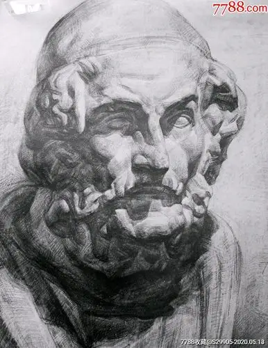 鲁美学生绘制的石膏素描作品"荷马正面像"