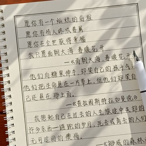 手写字帖女生字体漂亮练字帖学生成年男成人楷书正楷钢笔硬笔临摹
