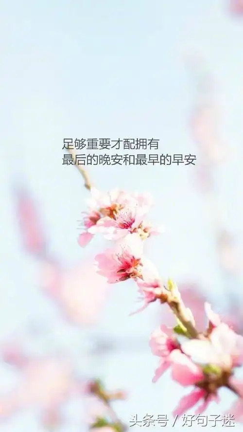 维美的句子说说心情说说心情优美句子