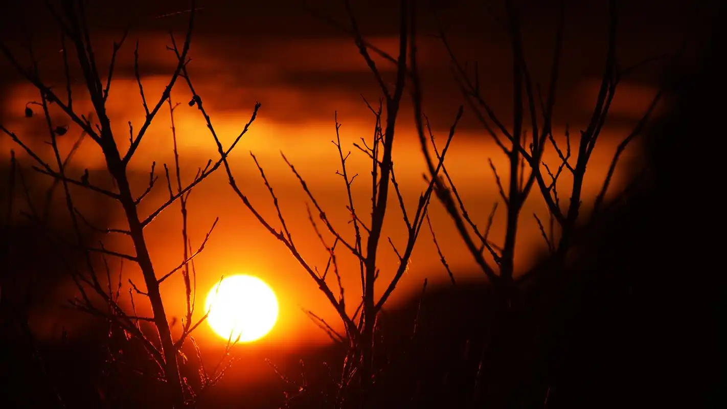 唯美夕阳下的剪影高清宽屏壁纸