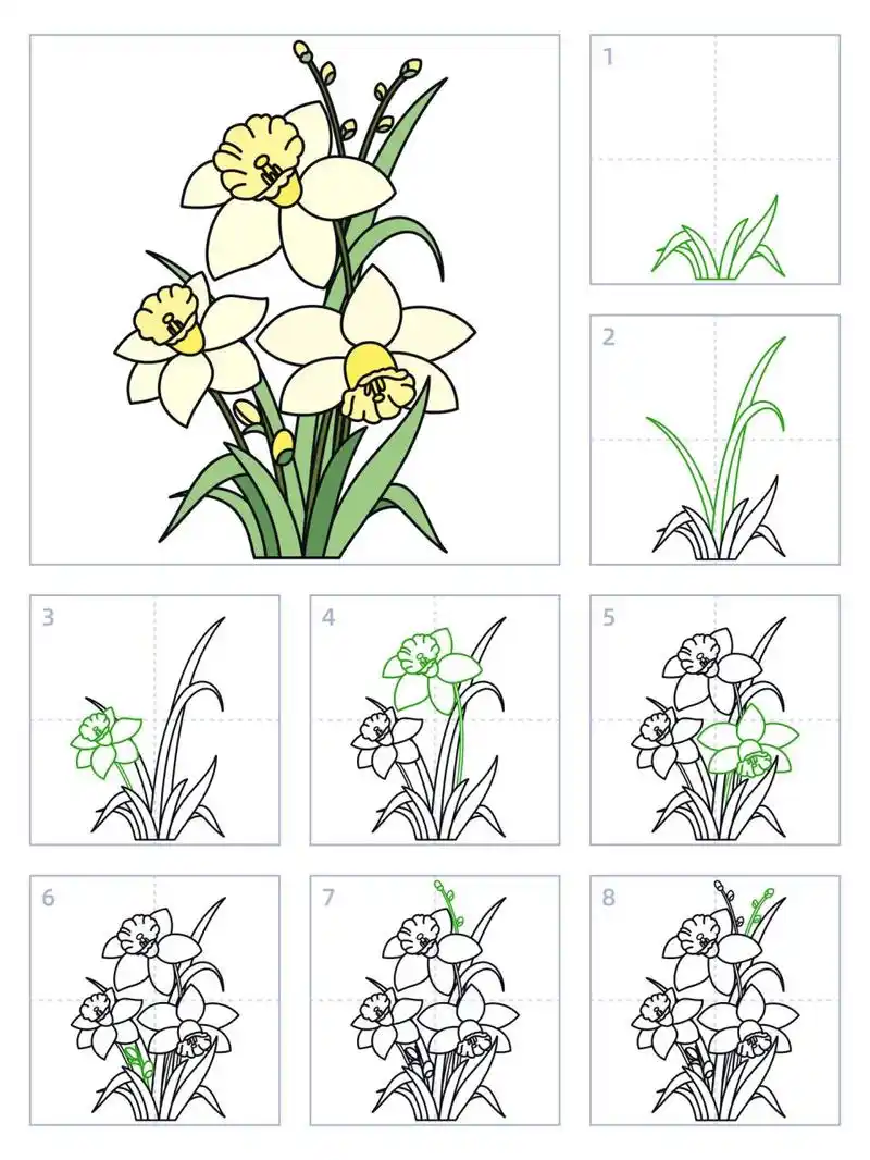 简笔画114期|水仙花 水仙花是石蒜科水仙属植物,花序轴从叶丛抽出