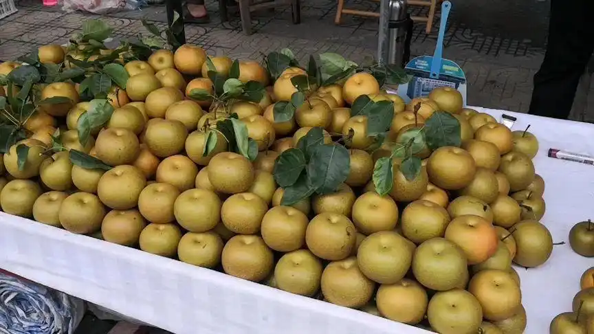 咸丰县万亩梨园的长十郎梨子脆甜汁多口感特别好今年是10元3斤