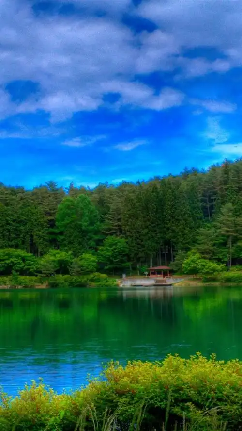 森林,绿色,湖泊,蓝天,云彩