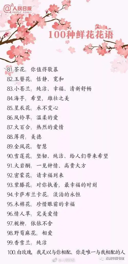 100种鲜花的花语,送花就用它!