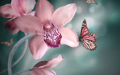 精选各类动物精美桌面壁纸合集分享