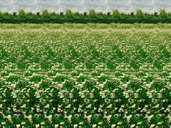 神奇的裸眼3d立体图