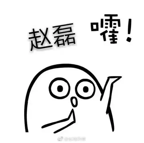 分享一波赵磊表情包