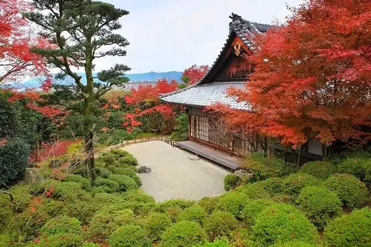 日本庭院带你感受不一样的艺术之美禅意之美