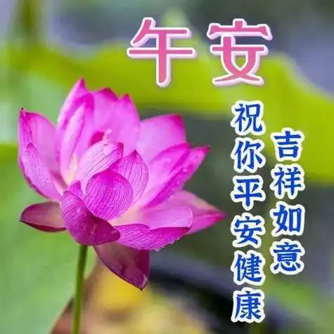 中午好图片大全午安祝福图片中午好问候中午祝您万事好午安送上祝福