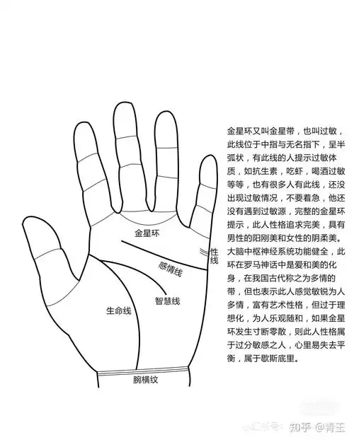金星环又叫金星带,也叫过敏线,此线位于中指与无名指下,呈半弧状,有此