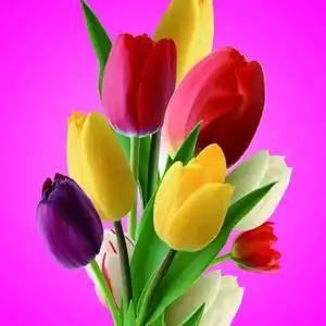 一花一一世界头像