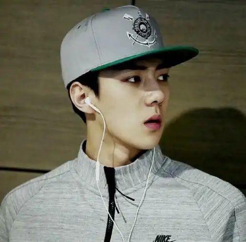 exo吴世勋sehun宝宝ins