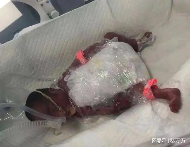 13年产妇高铁厕所早产孩子出生吓坏众人高铁首次破例停车待发