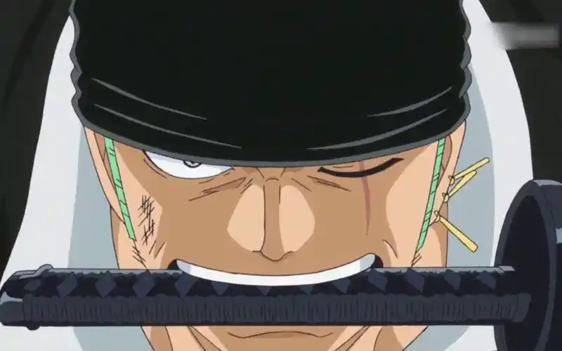 《海贼王》你最爱索隆什么样子