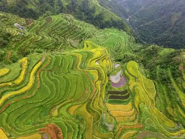 世界灌溉工程遗产和全国重点文物保护单位,安康汉阴凤堰古梯田