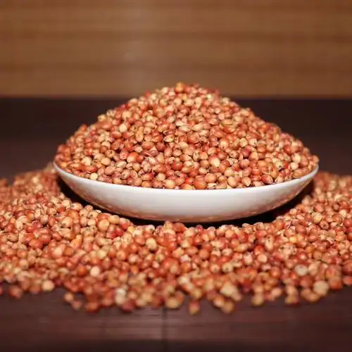 高粱红高粱去壳带皮酿酒高粱东北地产笨高粱