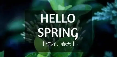 5种和春天有关的英语表达
