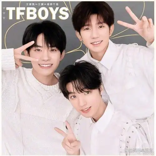 tfboys,这个陪伴了一代人青春的男子组合,今年迎来了他们的十周年.