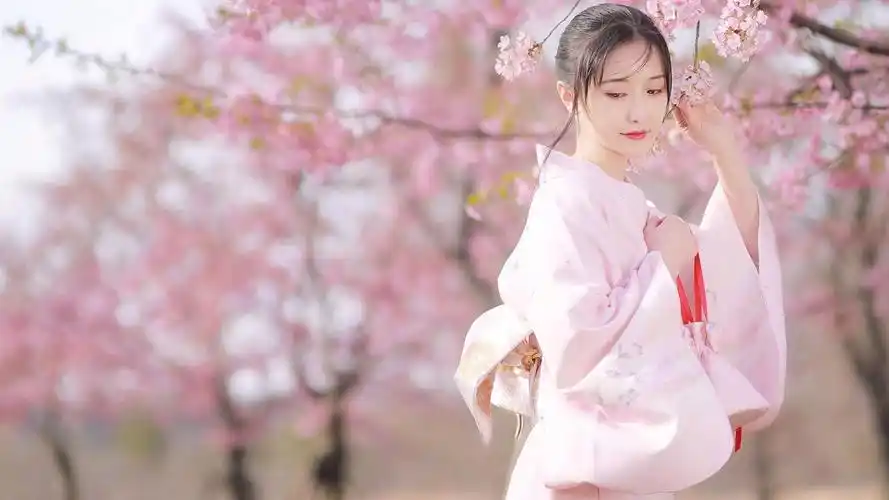 浪漫樱花季下的美女