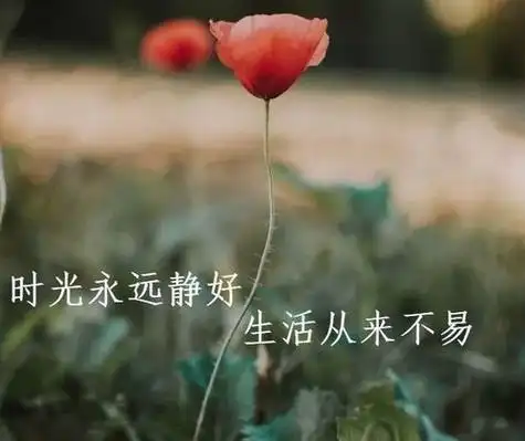 一句走心签名心情短句,很走心的干净短句心情说说30条治愈生病图2