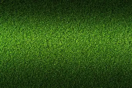 草皮环保海报主图背景图淘宝主图背景素材清新风景坚果食品psd分层主