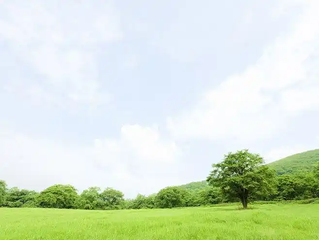 绿色草地(壁纸76)_其它风光_壁纸下载