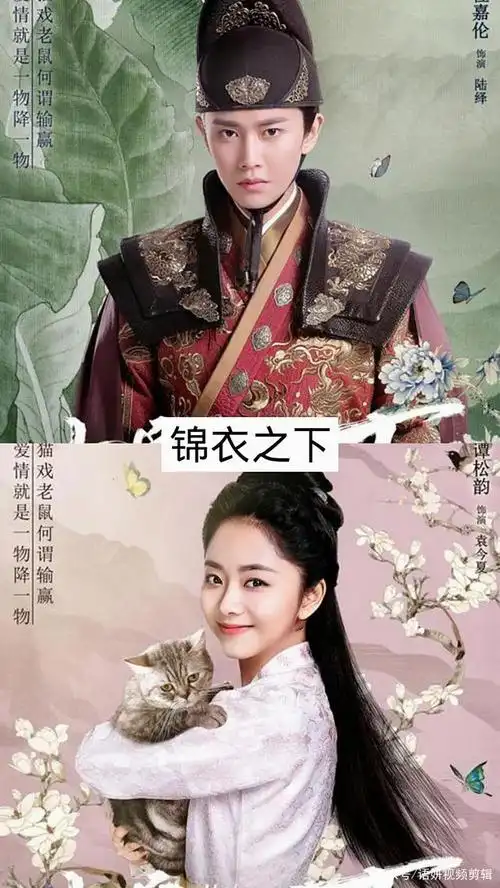 包含古装电视剧大全集的词条