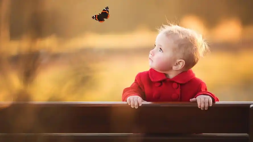 天真可爱的小男孩壁纸