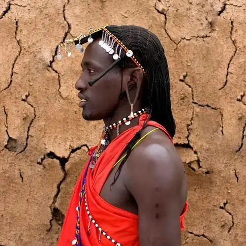 非洲黑人遍天下,为何却不去俄罗斯?原因很现实