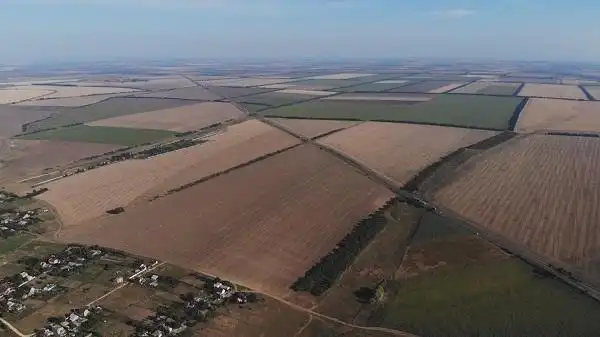 乌克兰:在『一带一路』中巩固友谊和收获发展