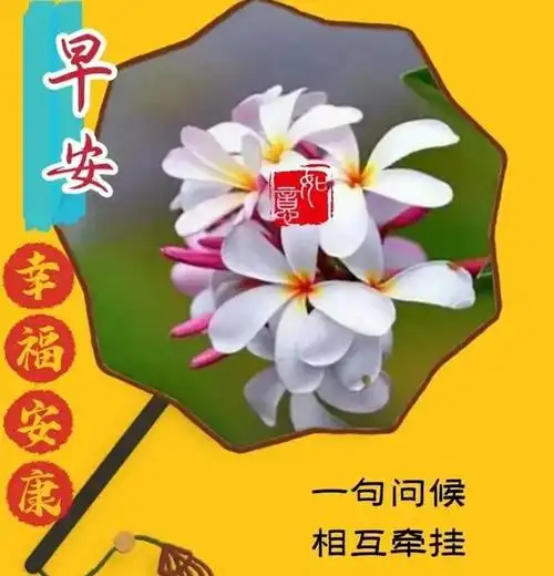 清晨传递问候的早上好祝福语,给中老年人的暖心问候语图片